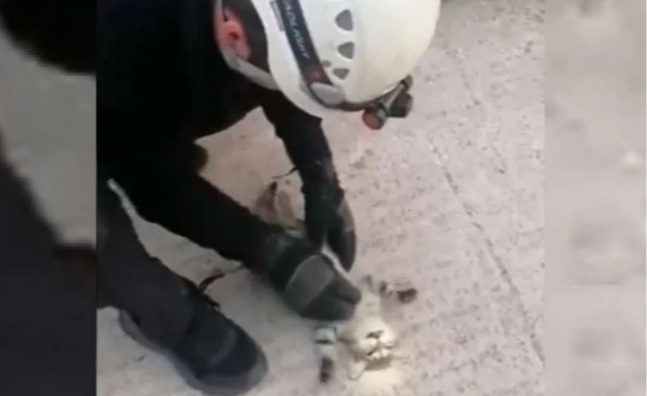 Πυροσβέστης σώζει άψυχη γάτα με μαλάξεις καρδιάς (Βίντεο)