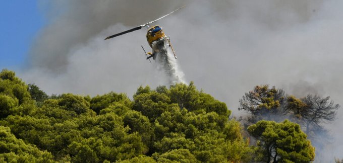 Πυρκαγιά σε χαμηλή βλάστηση στο Κορωπί Αττικής