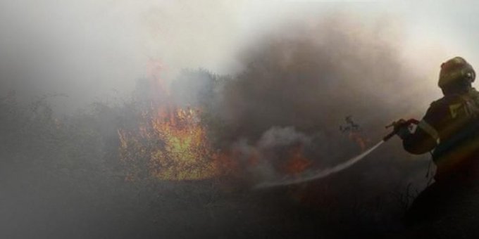 Πυροσβεστική: 41 δασικές πυρκαγιές εκδηλώθηκαν το τελευταίο 24ωρο (06/7/2022)