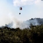 Πυροσβεστική: 41 δασικές πυρκαγιές εκδηλώθηκαν το τελευταίο 24ωρο (01/7/2022)