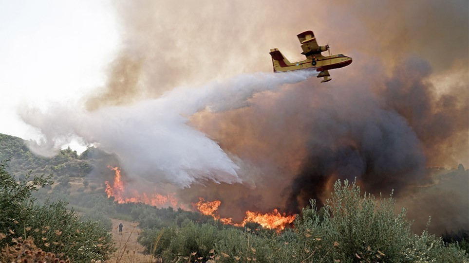 Συναγερμός στην Πυροσβεστική για πυρκαγιά σε αγροτοδασική έκταση στην Ηλεία