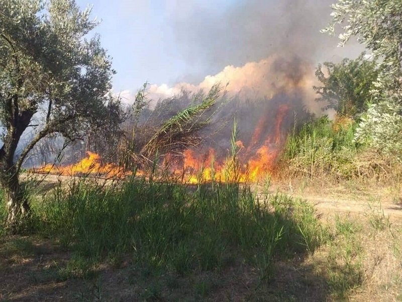 Πυρκαγιά σε εξέλιξη σε γεωργική έκταση πλησίον της περιοχής Λυγαριά Φθιώτιδος