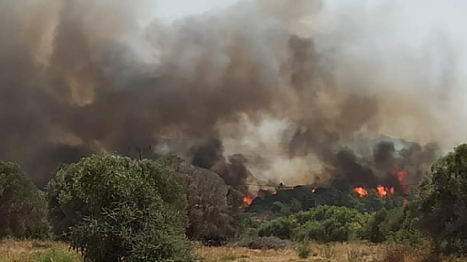 Μεγάλη πυρκαγιά σε δασική έκταση στη Ροδιά Ηλείας