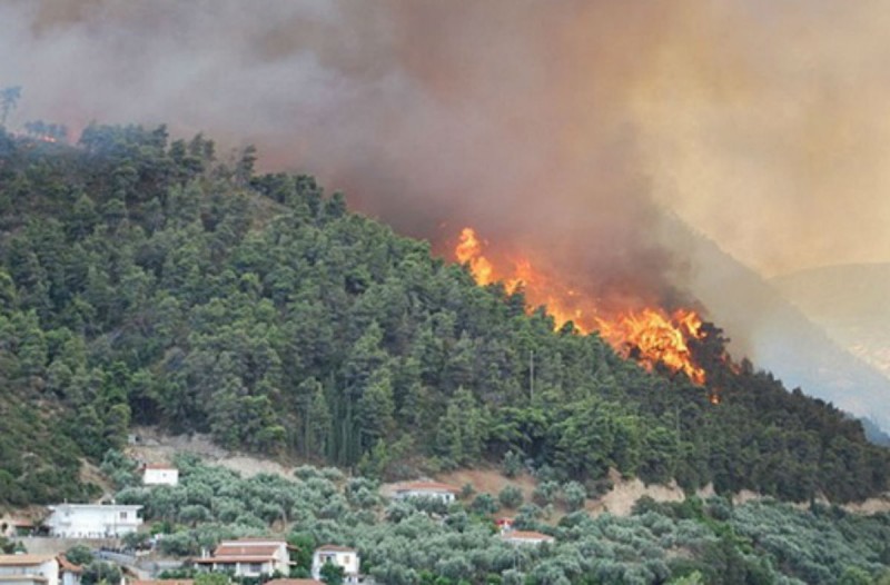 Πυρκαγιά σε εξέλιξη σε δασική έκταση στο Ακρωτήριο Αράπης Αγίου Όρους