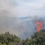 Πυρκαγιά σε γεωργική έκταση στο Καλέντζι Κορινθίας