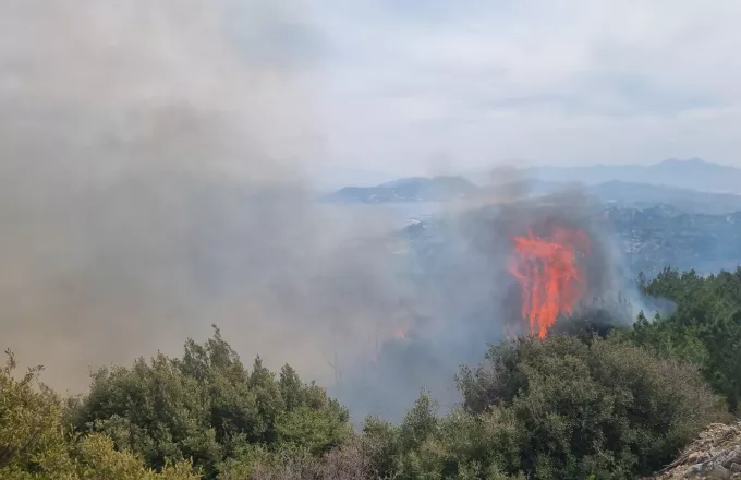 Πυρκαγιά σε γεωργική έκταση στο Καλέντζι Κορινθίας
