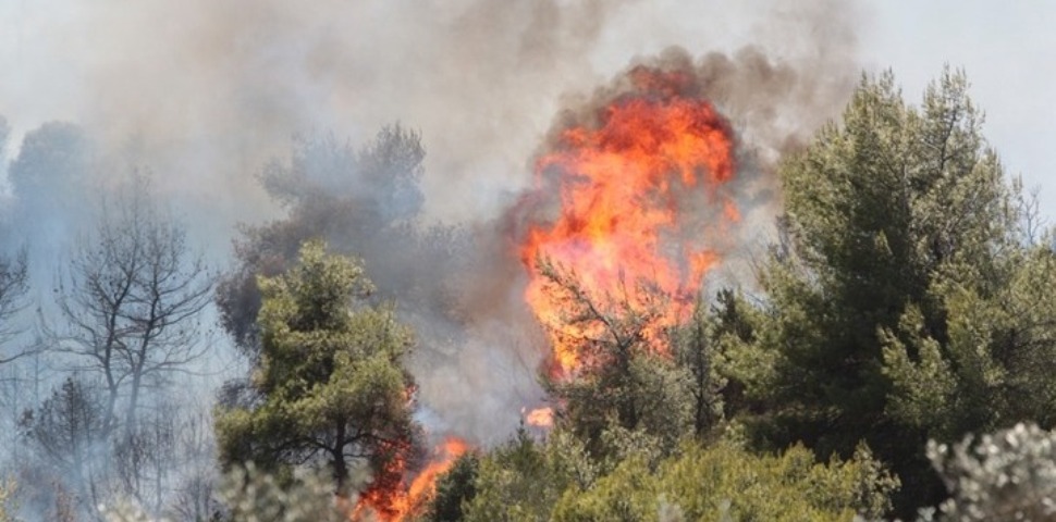 Πυρκαγιά σε εξέλιξη σε αγροτοδασική έκταση στην Μάνδρα Αττικής