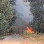 Πυρκαγιά σε οικοπεδικό χώρο στις Αχαρνές Αττικής