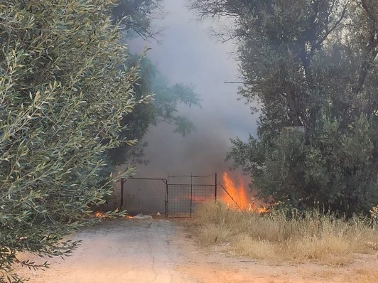 Πυρκαγιά σε οικοπεδικό χώρο στις Αχαρνές Αττικής