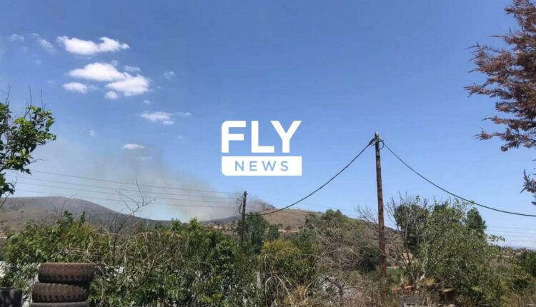 Πυρκαγιά σε χαμηλή βλάστηση στην Σκάλα Λακωνίας (Φωτό)