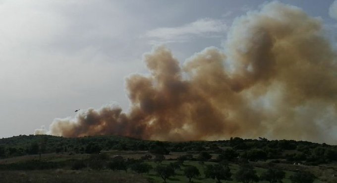 Πυρκαγιά σε δασική έκταση στο Ναρθάκι Φαρσάλων
