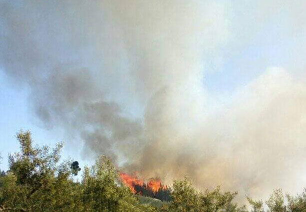 Πυρκαγιά σε εξέλιξη σε αγροτοδασική έκταση στο Μάζι Βοιωτίας