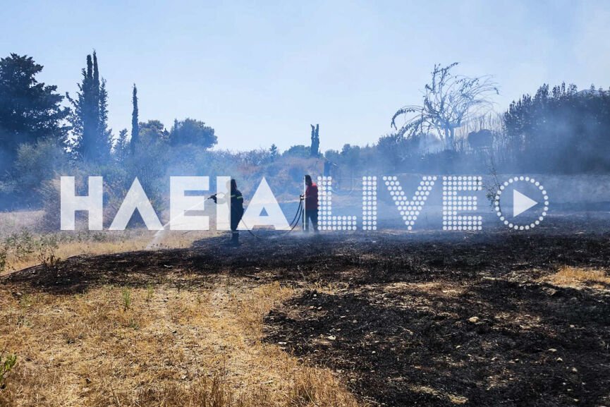 Πυρκαγιά σε αγροτική έκταση στα Χανάκια Ηλείας (Φωτό)