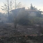 Πυρκαγιά σε γεωργική έκταση στην περιοχή του οικισμού Κινέττας νότια της Ερμιόνης