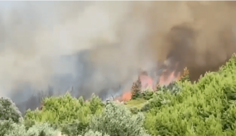 Μεγάλη πυρκαγιά σε εξέλιξη σε χορτολιβαδική έκταση στην Πέλλα