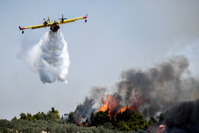 Υπό μερικό έλεγχο τέθηκε η πυρκαγιά σε δασική έκταση στο Ακρωτήριο Αράπης Αγίου Όρους