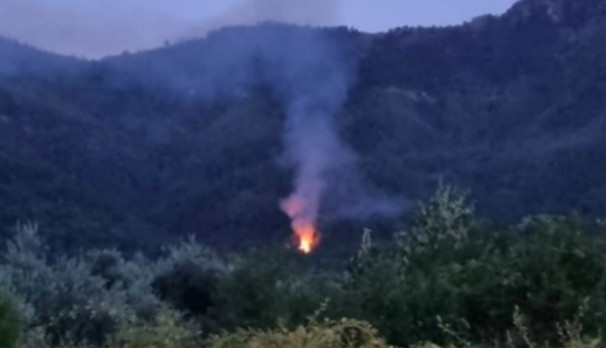 Πυρκαγιά σε εξέλιξη σε δασική έκταση στην Θάσο (Φωτό)