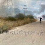 Πυρκαγιά σε ξερά χόρτα και πουρνάρια στο δρόμο Λαμίας - Ροδίτσας (Φωτό)
