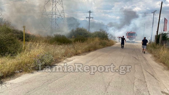 Πυρκαγιά σε ξερά χόρτα και πουρνάρια στο δρόμο Λαμίας - Ροδίτσας (Φωτό)