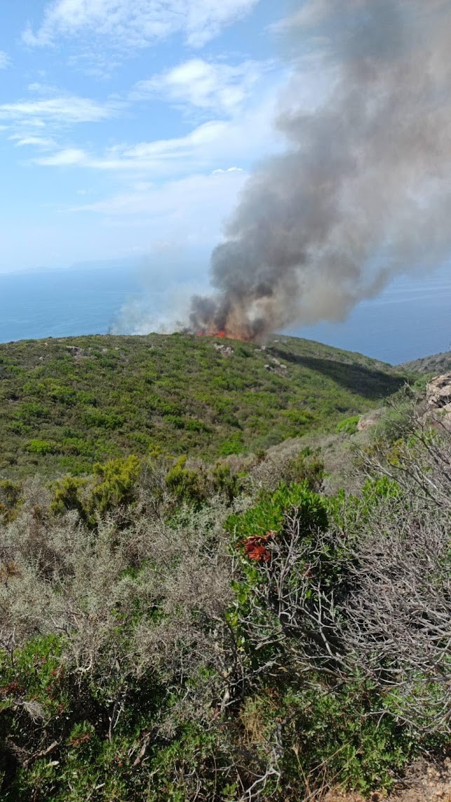 Σε εξέλιξη πυρκαγιά σε δασική έκταση στο Γερακάρι Κυθήρων