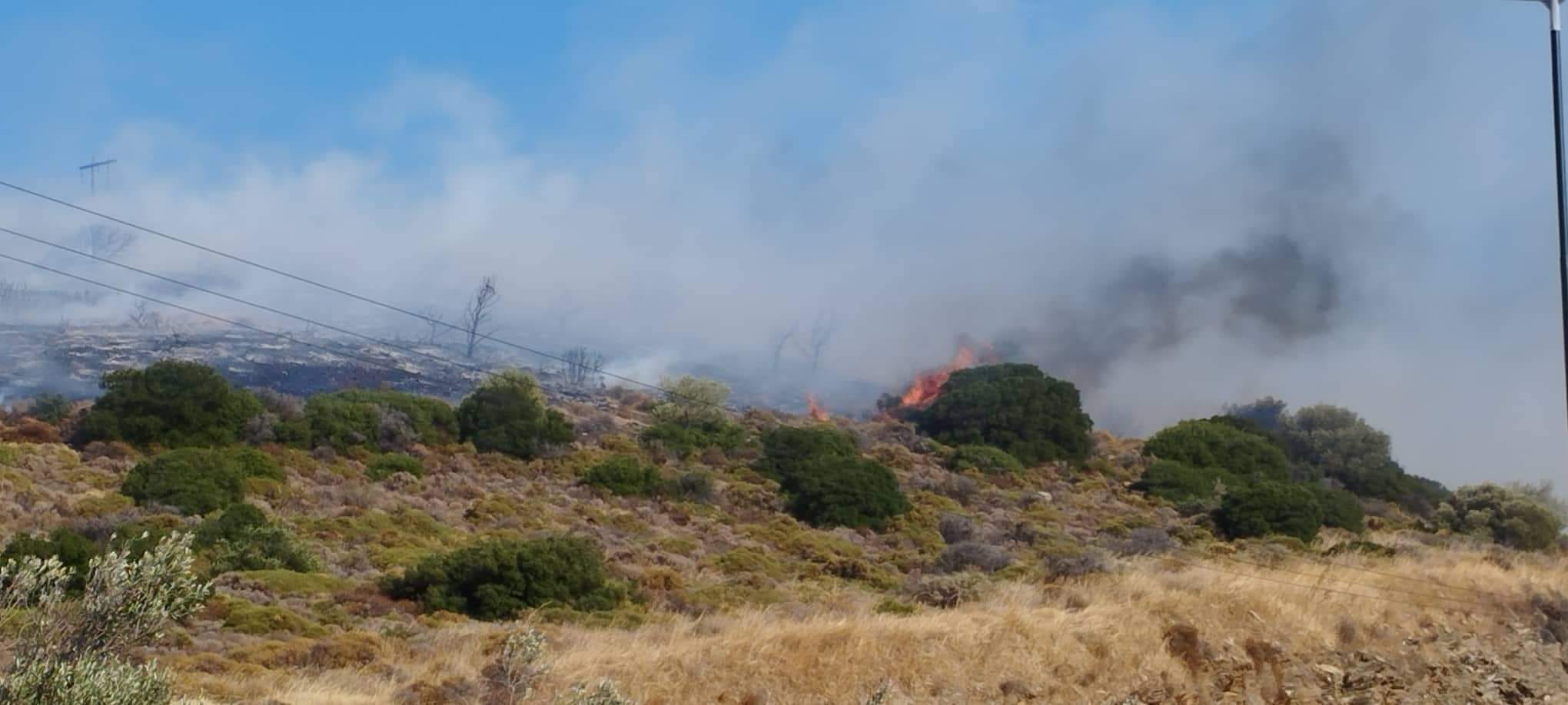 Σε εξέλιξη πυρκαγιά σε χαμηλή βλάστηση στο Περιγιάλι Λαύριου (Φωτό)