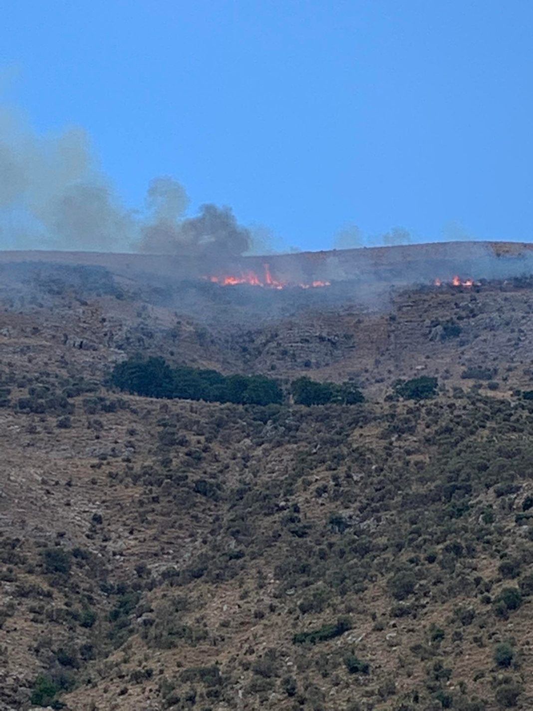 Πυρκαγιά σε χαμηλή βλάστηση στη Σαγιάδα Θεσπρωτίας - Κινητοποιήθηκαν επίγειες και εναέριες δυνάμεις