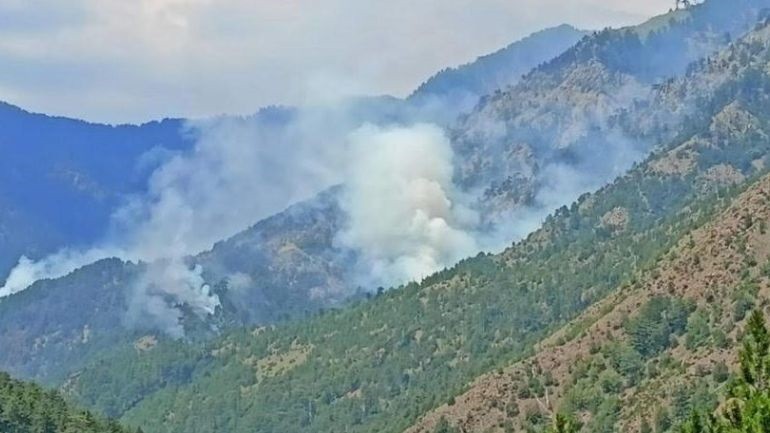 «Μύθοι και αλήθειες» για την φωτιά στη Βάλια Κάλντα - Αξιωματικός της Πυροσβεστικής αποκαλύπτει γιατί δεν έσβηνε η πυρκαγιά