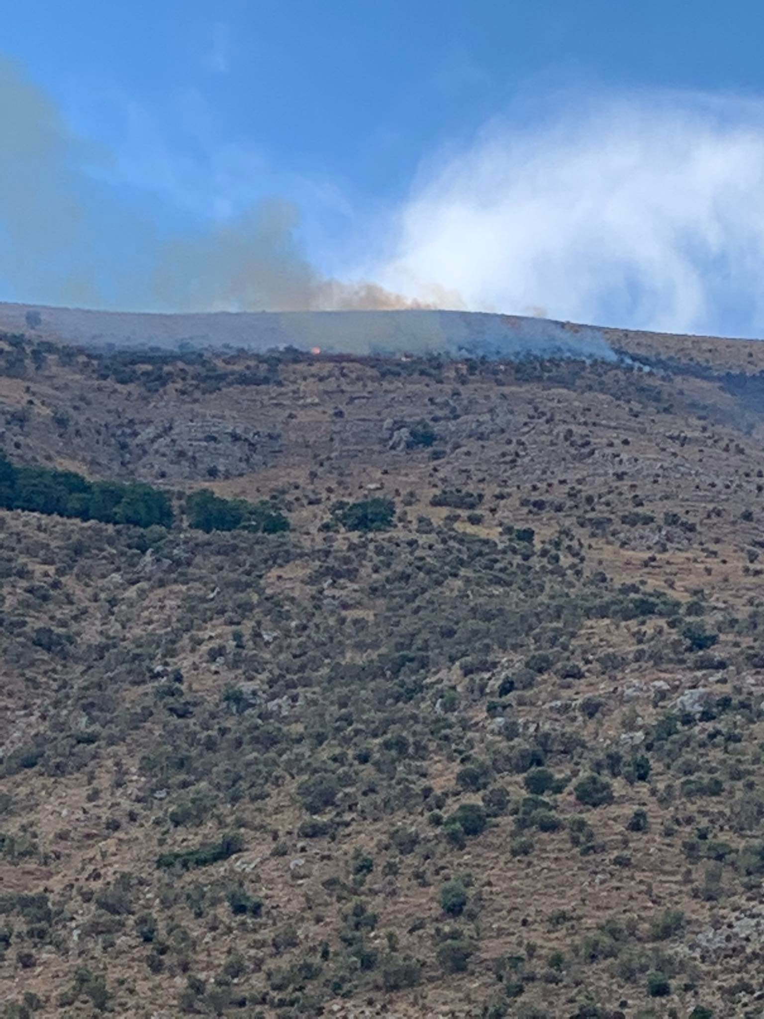 Πυρκαγιά σε χαμηλή βλάστηση στη Σαγιάδα Θεσπρωτίας - Κινητοποιήθηκαν επίγειες και εναέριες δυνάμεις