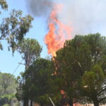Πυρκαγιά σε αγροτοδασική έκταση στην περιοχή Αγία Μαύρα Ηλείας