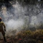 Πυροσβεστική: 60 δασικές πυρκαγιές εκδηλώθηκαν το τελευταίο 24ωρο (08/8/2022)
