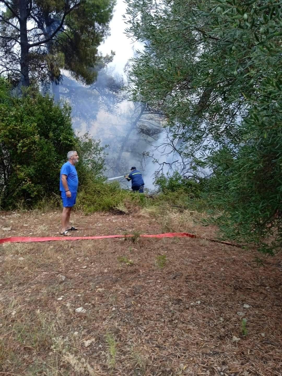 Χαλκιδική: Πυρκαγιά στο Πολύχρονο από κεραυνό (Φωτό)