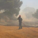 Πυρκαγιά σε γεωργική έκταση στις Σπέτσες
