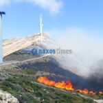 Πυρκαγιά σε χαμηλή βλάστηση στην περιοχή Κόρωνο Νάξου