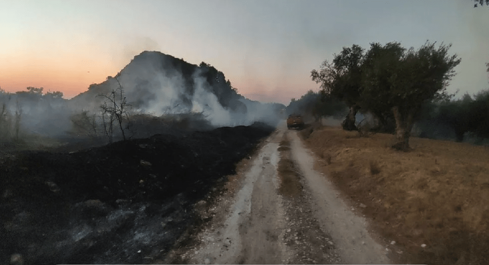 Πυρκαγιά σε δασική έκταση στο Αργάσι Ζακύνθου (Φωτό)