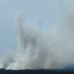 Τεράστια πυρκαγιά στο δάσος του Γκρούνεβαλντ στο Βερολίνο