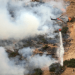 ΗΠΑ: Προσπαθούσε να βάλει φωτιά σε αράχνη και προκάλεσε δασική πυρκαγιά