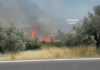 Fire Fighting Greece | Φωτιά Τώρα – Πυρκαγιές σε εξέλιξη
