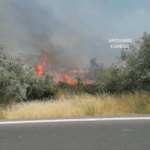 Πυρκαγιά στη περιοχή της Χούνης στο Δήμο Άργους Μυκηνών στην Αργολίδα
