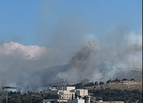 Πυρκαγιά σε χαμηλή βλάστηση πίσω από το νοσοκομείο της Χαλκίδας