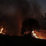 Πυρκαγιά σε χορτολιβαδική έκταση στην περιοχή Αννινάτα Κεφαλληνίας