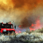 Πυρκαγιά σε δασική έκταση στα Πυργιώτικα Αργολίδας