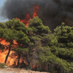 Πυροσβεστική: 51 δασικές πυρκαγιές εκδηλώθηκαν το τελευταίο 24ωρο (15/8/2022)