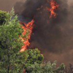 Πυρκαγιά σε δασική έκταση στην Αγία Παρασκευή Κόνιτσας
