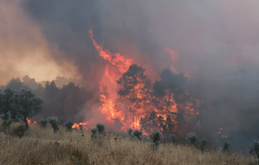Πυρκαγιά σε οικοπεδικό χώρο στη Νεάπολη Κορυδαλλού - Άμεση κινητοποίηση της πυροσβεστικής
