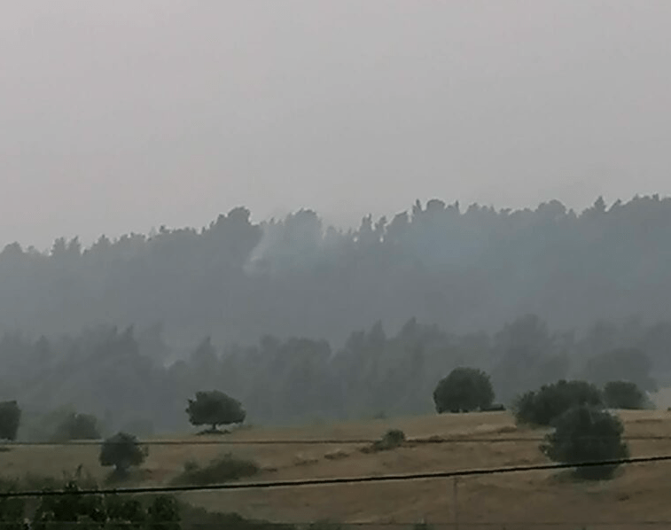 Χαλκιδική: Πυρκαγιά στο δάσος της Κασσάνδρας – Προκλήθηκε από πτώση κεραυνού (Φωτό)
