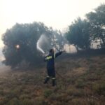 Ταύρος: Συνελήφθησαν τρία άτομα για πρόκληση πυρκαγιάς από αμέλεια