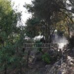 Πυρκαγιά σε ποιμνιοστάσιο στην Διάβα Καλαμπάκας