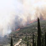 Πυροσβεστική: 35 δασικές πυρκαγιές εκδηλώθηκαν το τελευταίο 24ωρο (19/8/2022)
