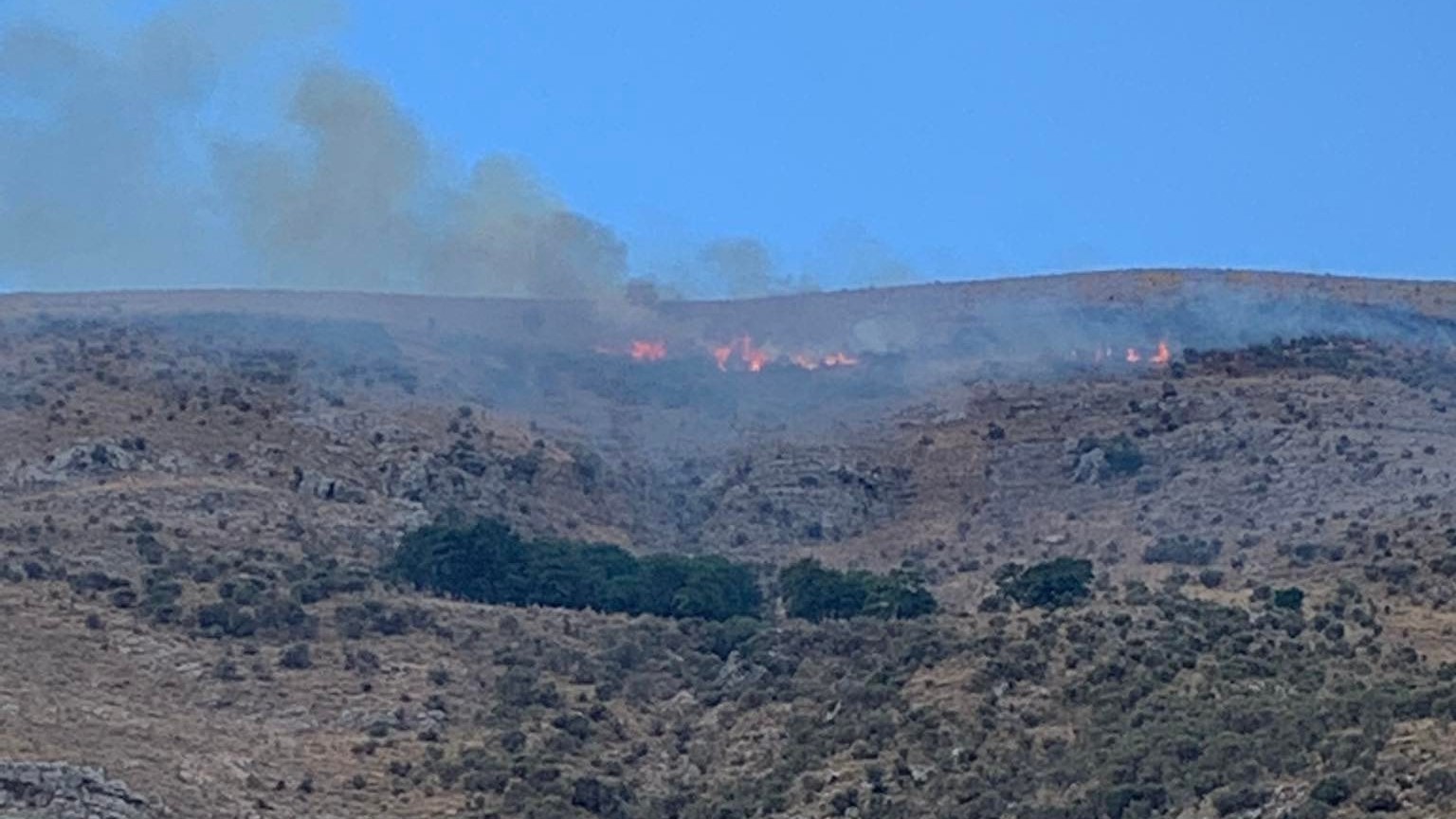 Πυρκαγιά σε αγροτοδασική έκταση στην Κύμη Εύβοιας