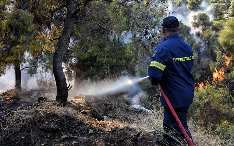 Πυροσβεστική: 29 δασικές πυρκαγιές εκδηλώθηκαν το τελευταίο 24ωρο (30/8/2022)